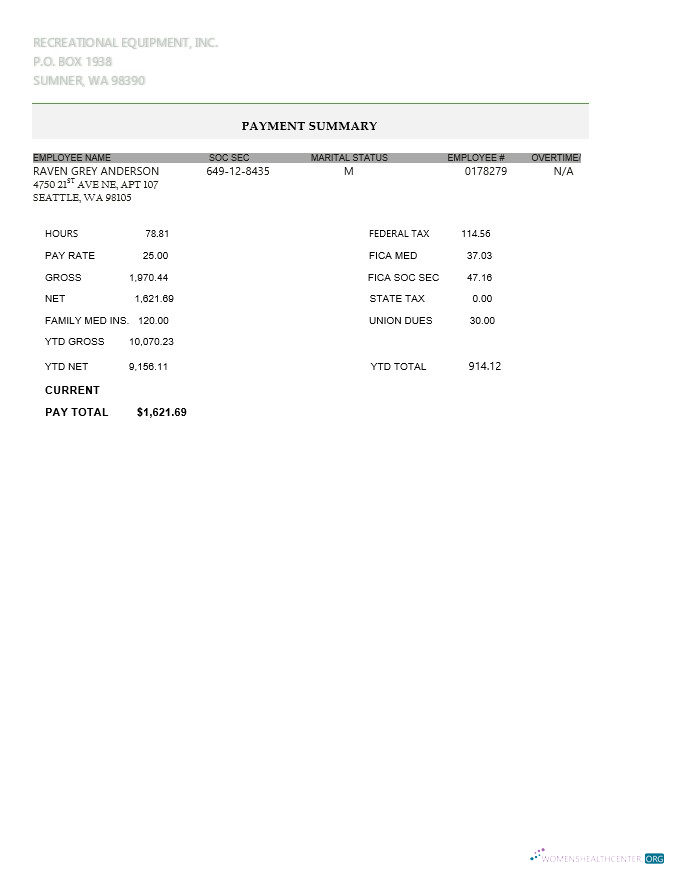 Download Recreational equipment LLC pay stub in PDF and WORD format Photoshop template